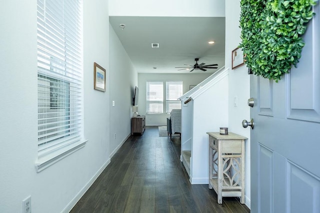 interior space featuring baseboards, visible vents, ceiling fan, stairway, and dark wood-type flooring