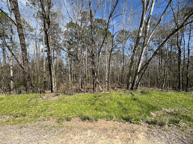 0000 Saddle Surrey Ln, Coldspring TX, 77331 land for sale