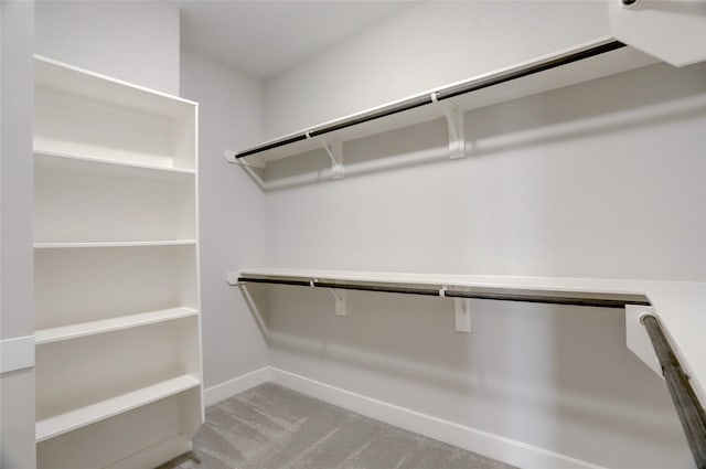 spacious closet with carpet