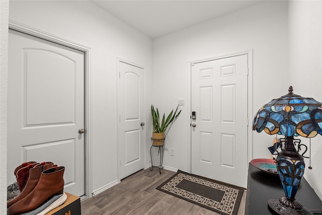 entryway with baseboards and wood finished floors