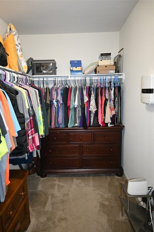 walk in closet with carpet