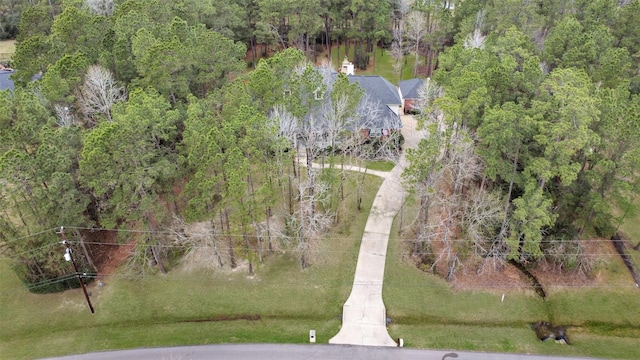 bird's eye view with a view of trees