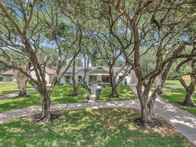 ranch-style home with driveway and a front yard