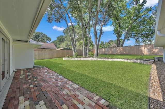 view of yard with a patio area and a fenced backyard