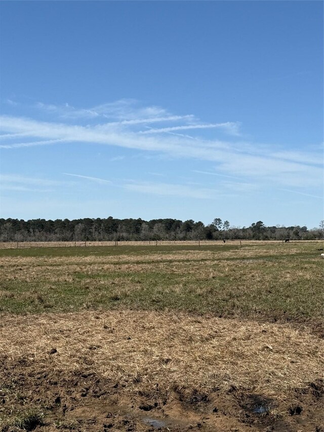 905 County Road 2285, Cleveland, TX 77327 - photo 2