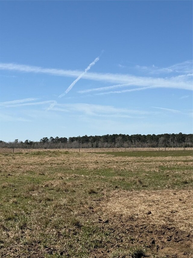 905 County Road 2285, Cleveland, TX 77327 - photo 3