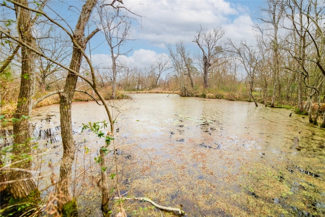 property view of water with a view of trees