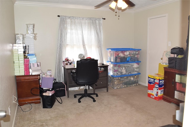 office area with carpet floors, a ceiling fan, and crown molding