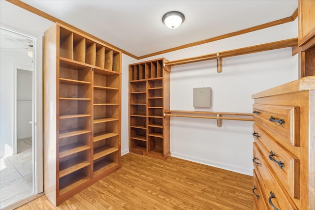 walk in closet featuring light wood-type flooring