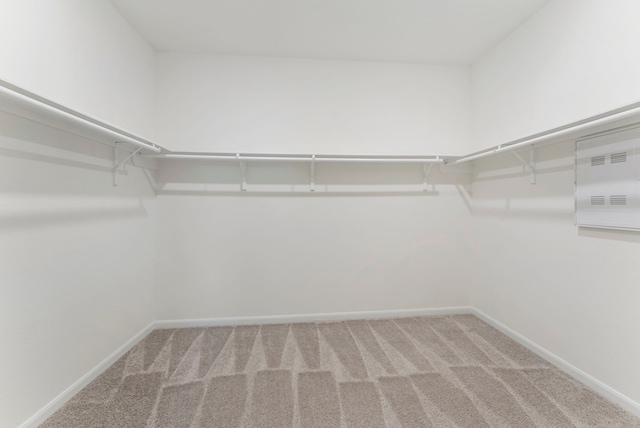 walk in closet with carpet flooring