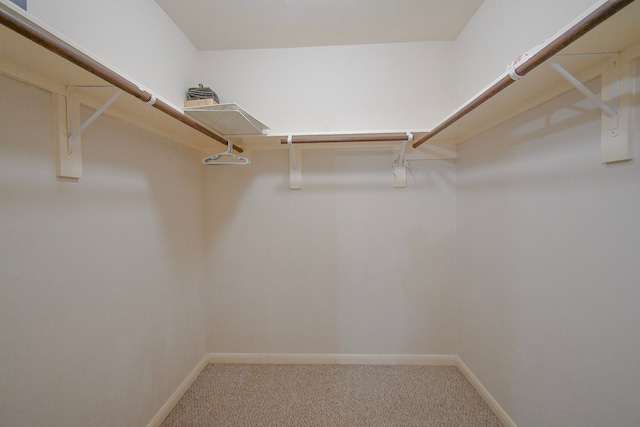 walk in closet with carpet floors