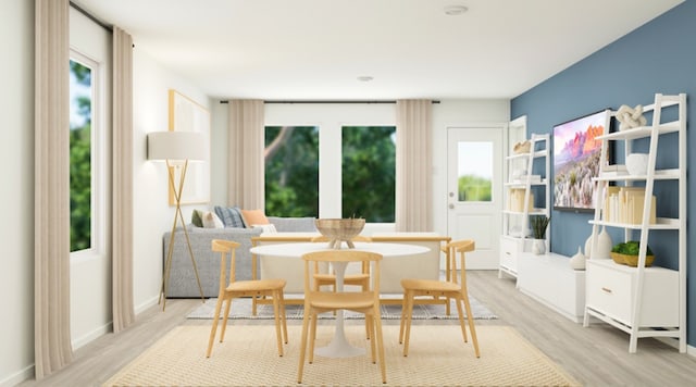 interior space featuring a wealth of natural light, baseboards, and wood finished floors