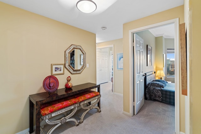 hall with baseboards, carpet floors, and crown molding