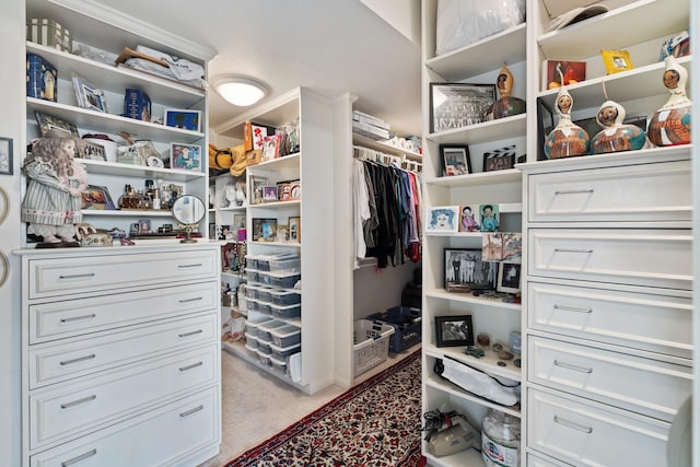 walk in closet with light colored carpet