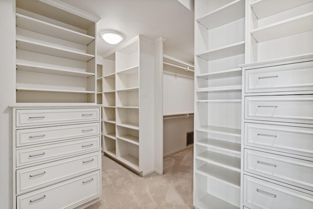 spacious closet featuring light carpet