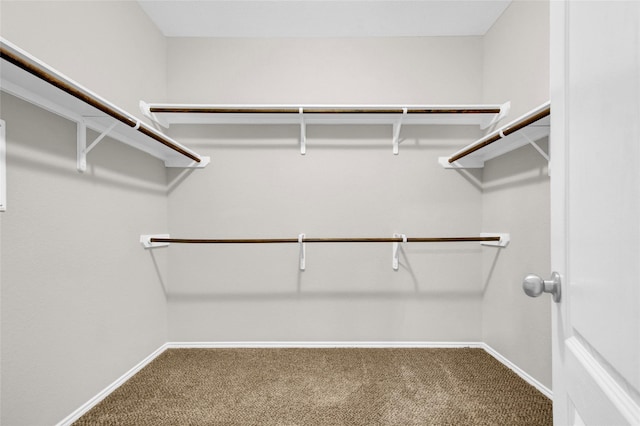 spacious closet with carpet