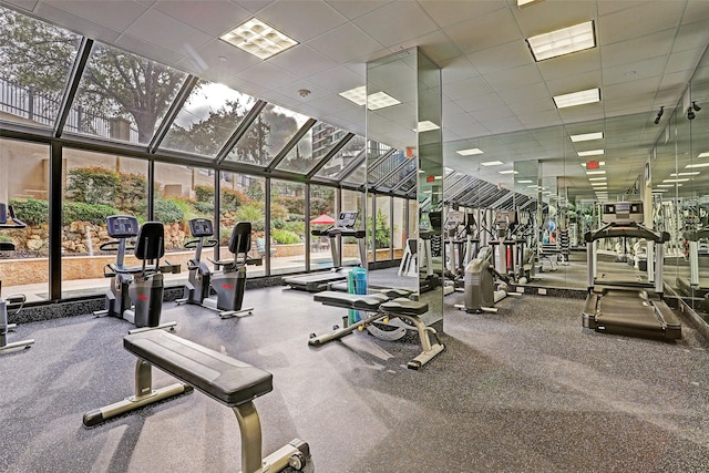 workout area featuring a drop ceiling and a wall of windows