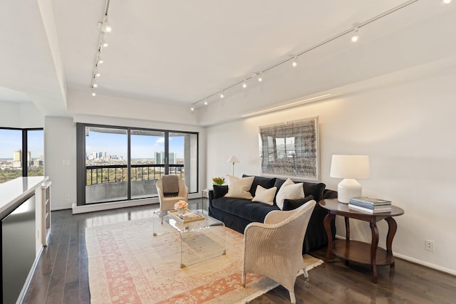 living room with dark wood-style floors, a city view, rail lighting, and baseboards