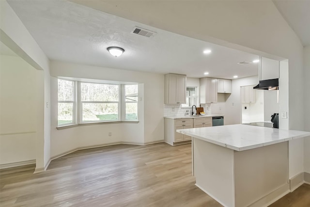 kitchen featuring under cabinet range hood, dishwashing machine, light stone counters, a sink, and light wood-style flooring