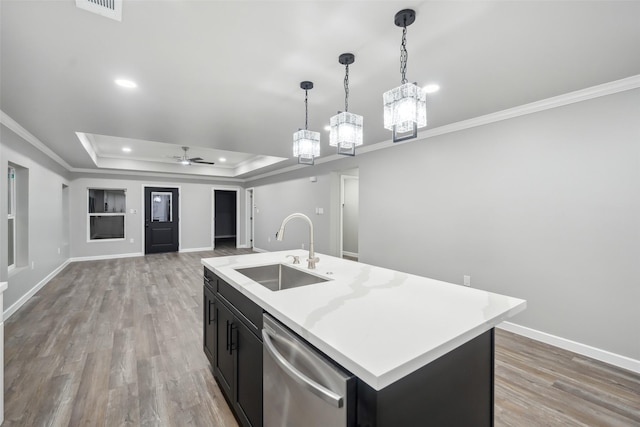 kitchen with stainless steel dishwasher, a tray ceiling, dark cabinetry, and a sink