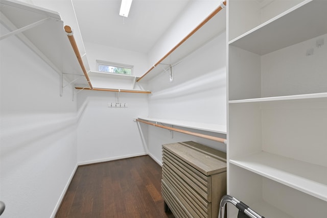 walk in closet featuring dark wood-style floors