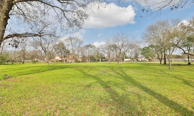 8918 Wateka St, Houston, TX 77074 - photo 9