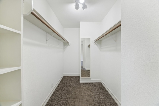 walk in closet with dark carpet