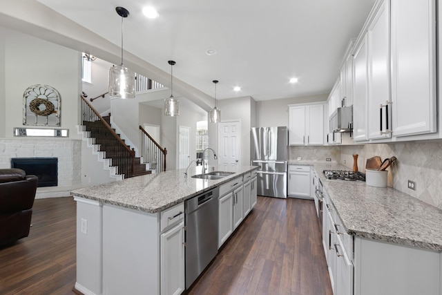 kitchen featuring appliances with stainless steel finishes, dark wood-type flooring, ventilation hood, and a sink