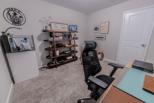 office area featuring carpet and baseboards