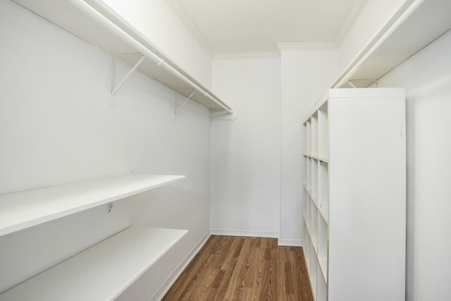 spacious closet with wood finished floors