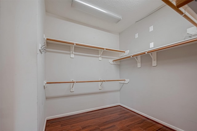 walk in closet with wood finished floors