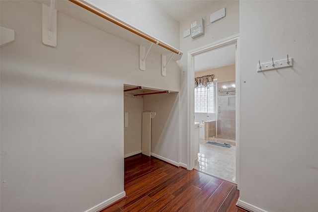 spacious closet featuring dark wood-style flooring