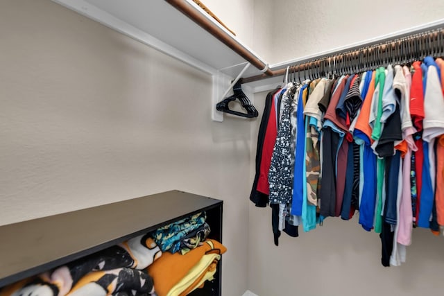 view of spacious closet