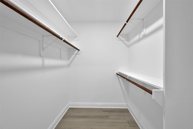 walk in closet featuring wood finished floors