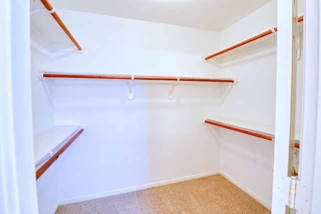 spacious closet featuring light carpet