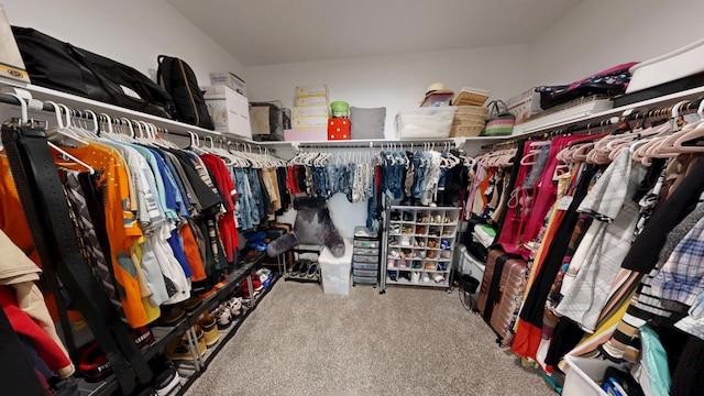 spacious closet with carpet floors