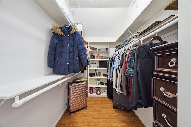 walk in closet featuring wood finished floors