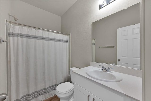 full bathroom featuring vanity, toilet, and a shower with curtain