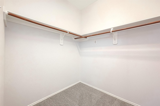 walk in closet with carpet flooring