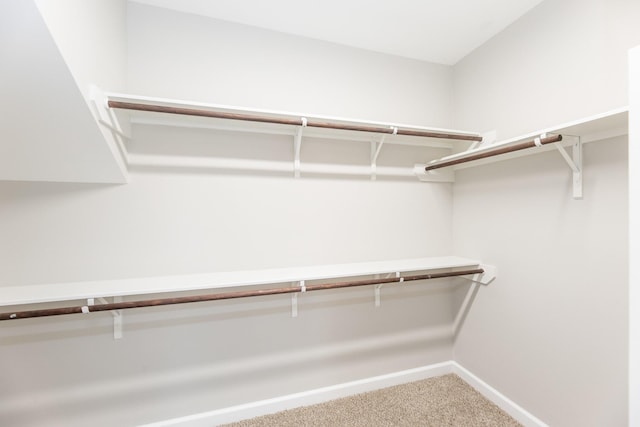 spacious closet with carpet floors