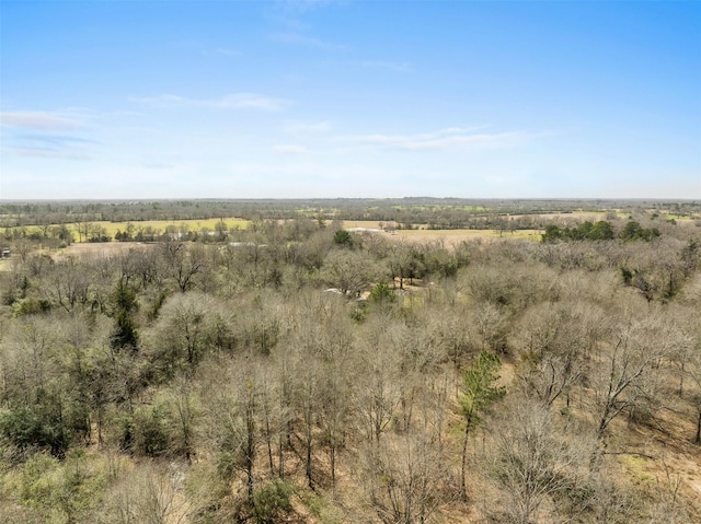 view of local wilderness featuring a rural view