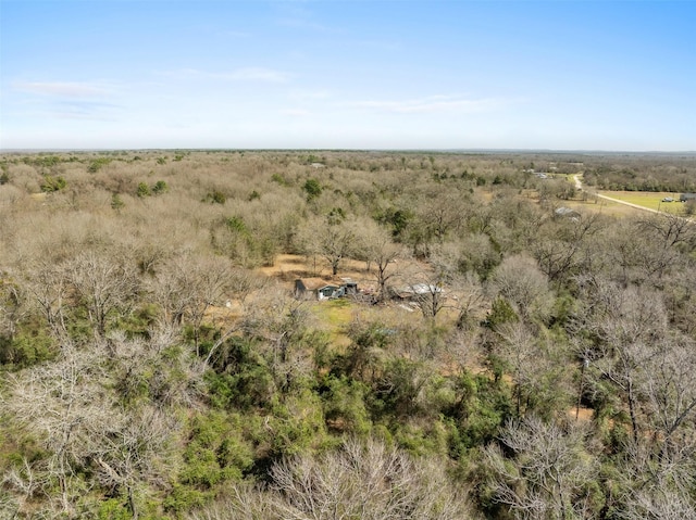 drone / aerial view featuring a rural view