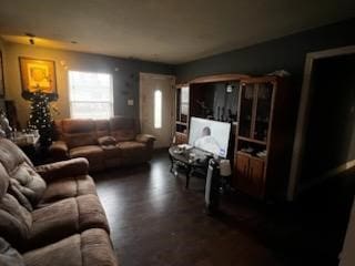 living area with wood finished floors