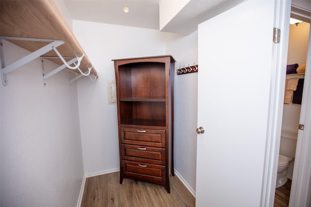 walk in closet featuring light wood-style floors