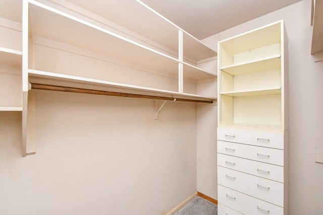 spacious closet featuring carpet flooring