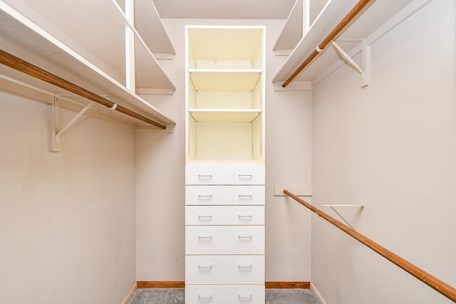 spacious closet featuring carpet floors