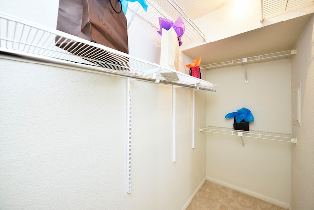 walk in closet with carpet