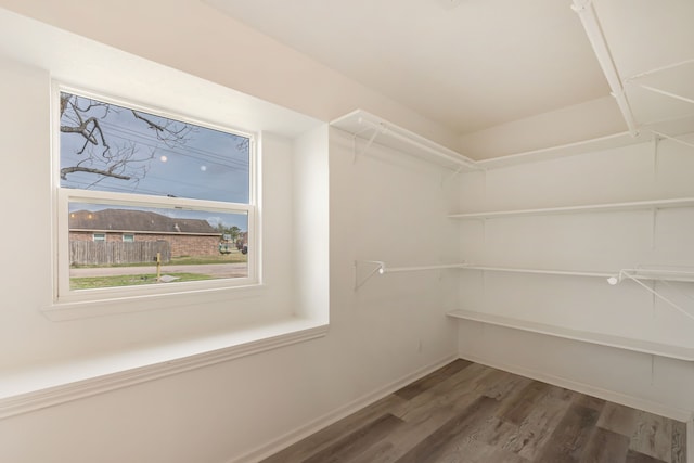 spacious closet with dark wood finished floors