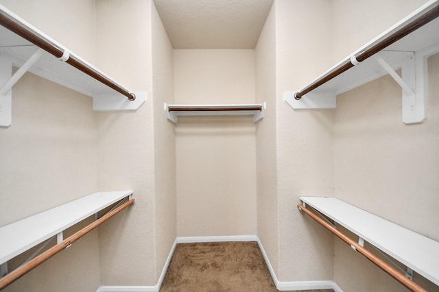 walk in closet featuring carpet flooring