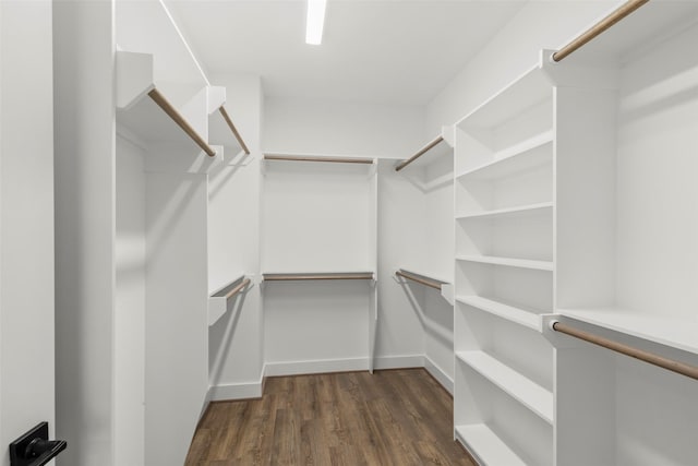 spacious closet with dark wood-style floors